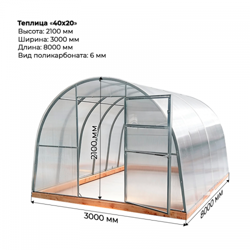 Теплица "40*20" 3*8 шаг 1,0м, 5 усилений, оцинкованный профиль 40*20, с поликарбонатом 6мм.