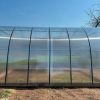 Теплица "Радость" 3*8 шаг 0,65м, 7 усилений, оцинкованный профиль 25*25, с поликарбонатом 6мм.
