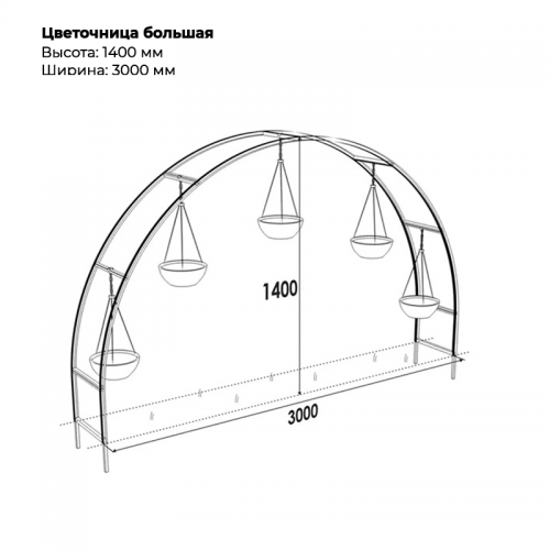 Цветочница большая Цветочница большая