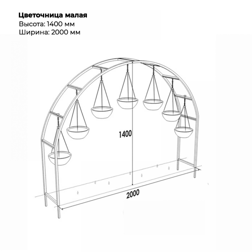 Цветочница малая Цветочница малая