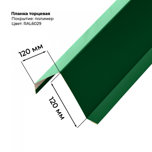 Торцевая планка для монтеррей 2 м RAL 6029