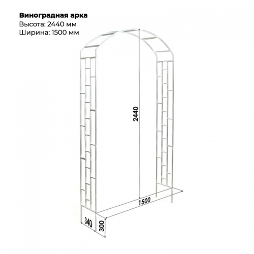 ВИНОГРАДНАЯ АРКА ВИНОГРАДНАЯ АРКА