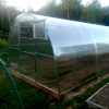 Теплица "40*20" 3*8 шаг 1,0м, 5 усилений, оцинкованный профиль 40*20, с поликарбонатом 4мм.